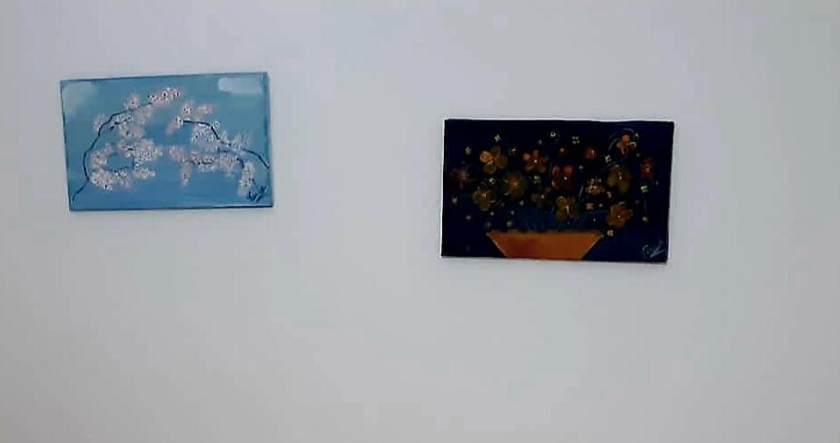 Home Flori&Vili ชโคเดอร์ ภายนอก รูปภาพ